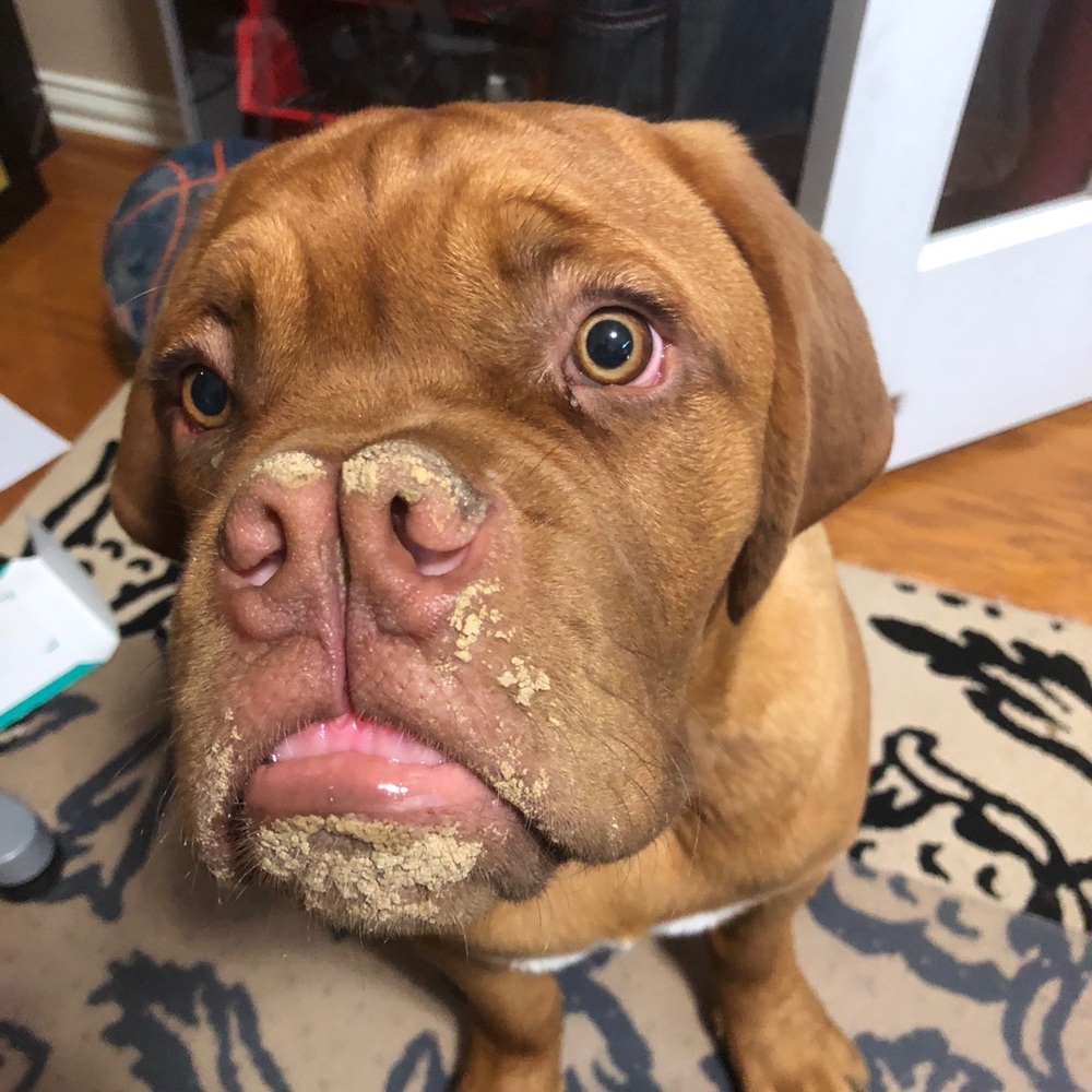 Meet your Posher, Michele